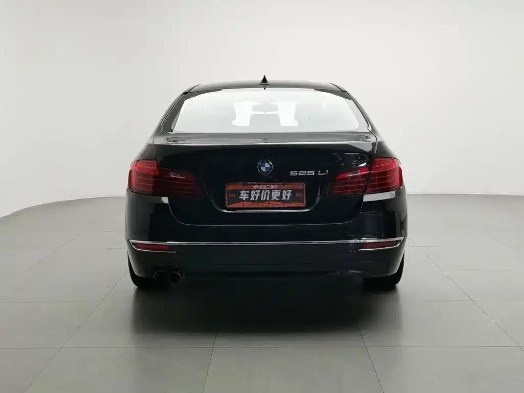 2014 BMW 5 Series 525Li Luxury Design Package — миниатюра 4