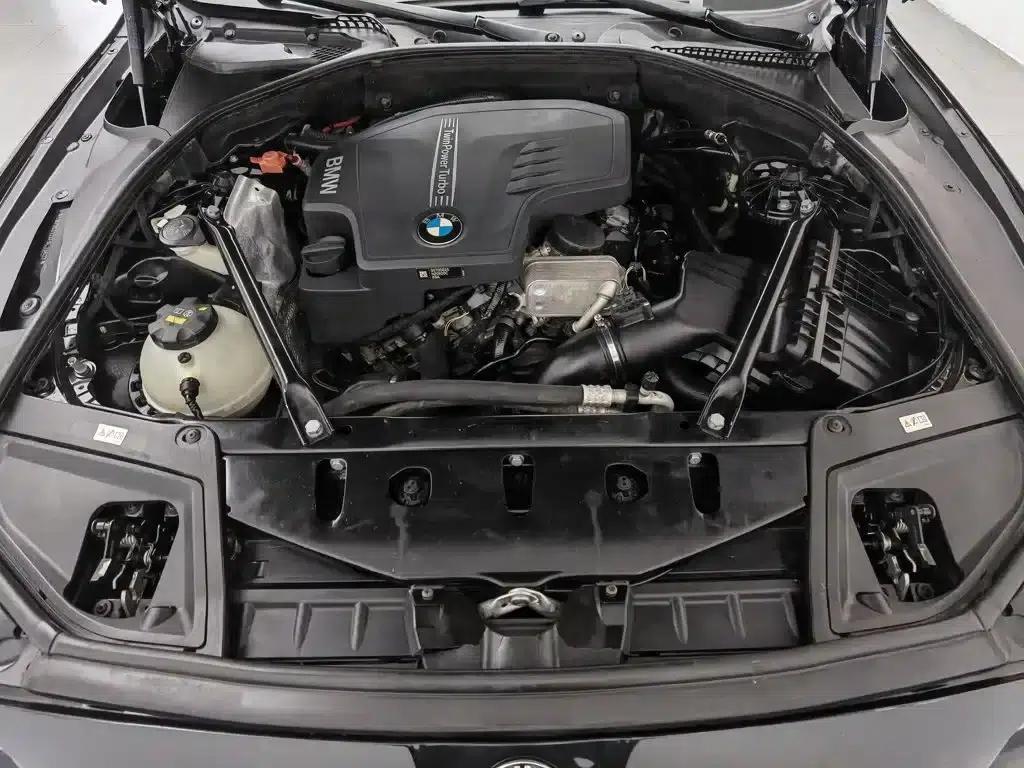 2014 BMW 5 Series 525Li Luxury Design Package — миниатюра 6
