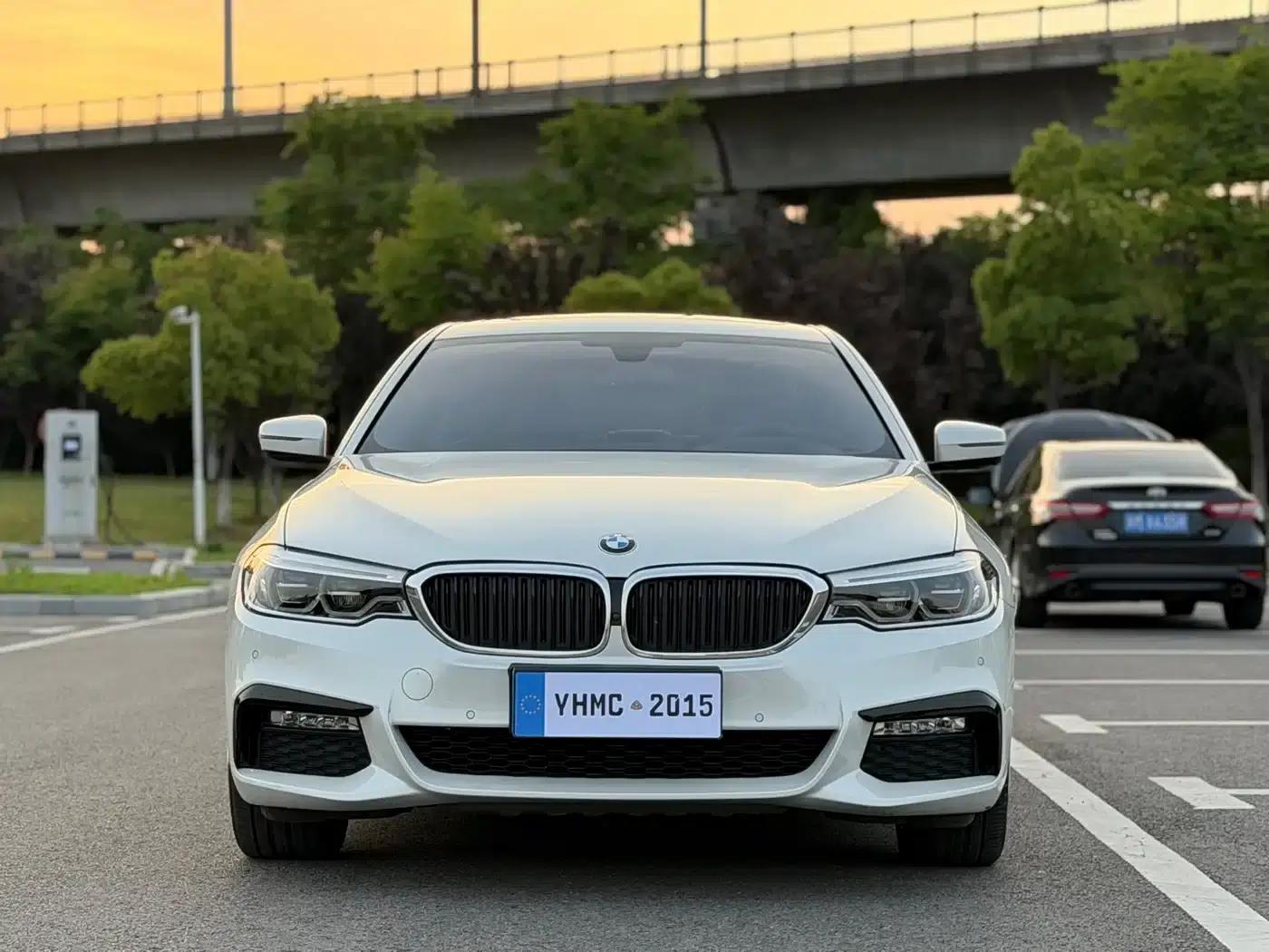 2018 BMW 5 Series 530Li Luxury M Sport Package — миниатюра 2