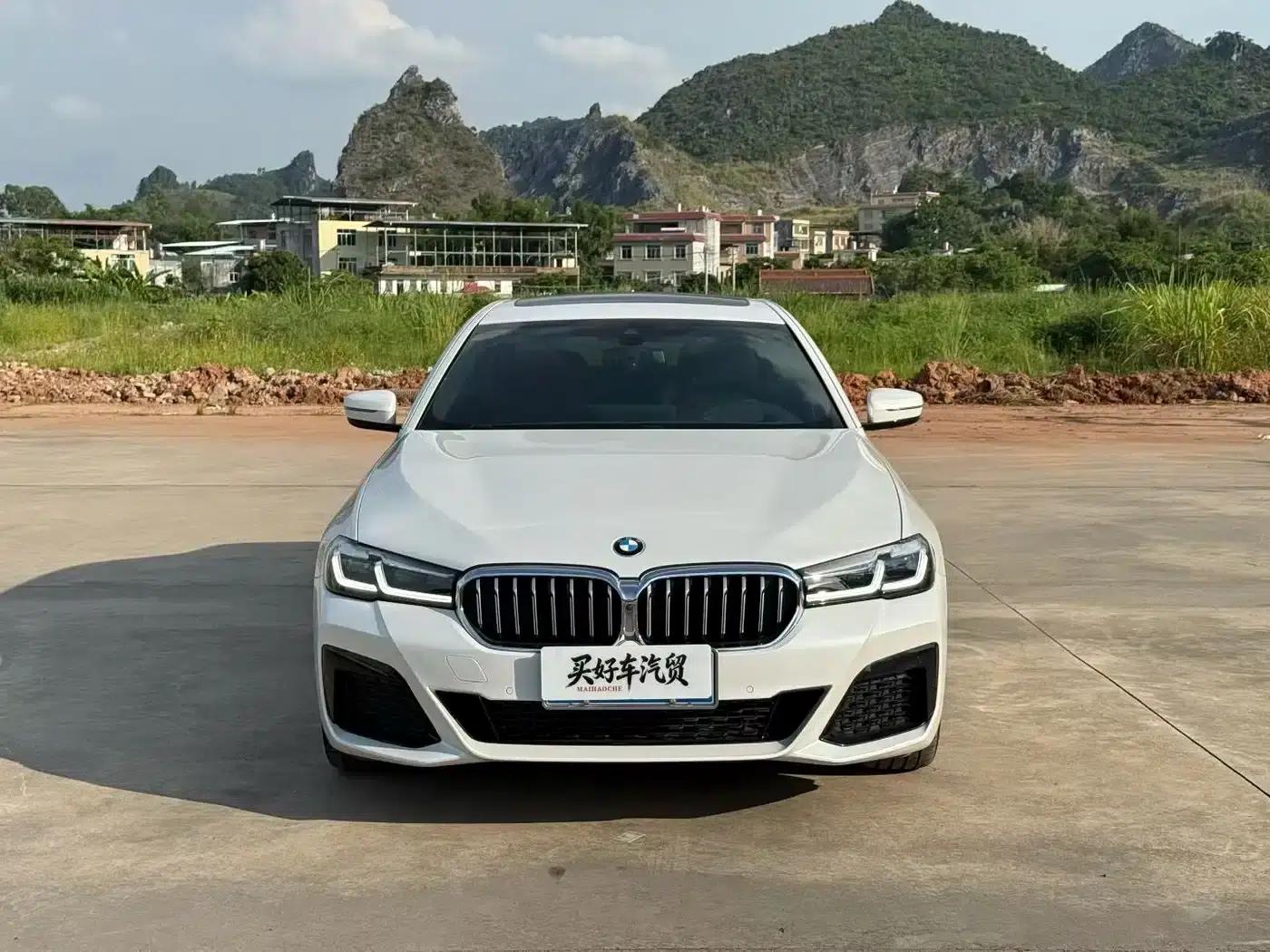 2021 BMW 5 Series 530Li Luxury M Sport Package — миниатюра 2