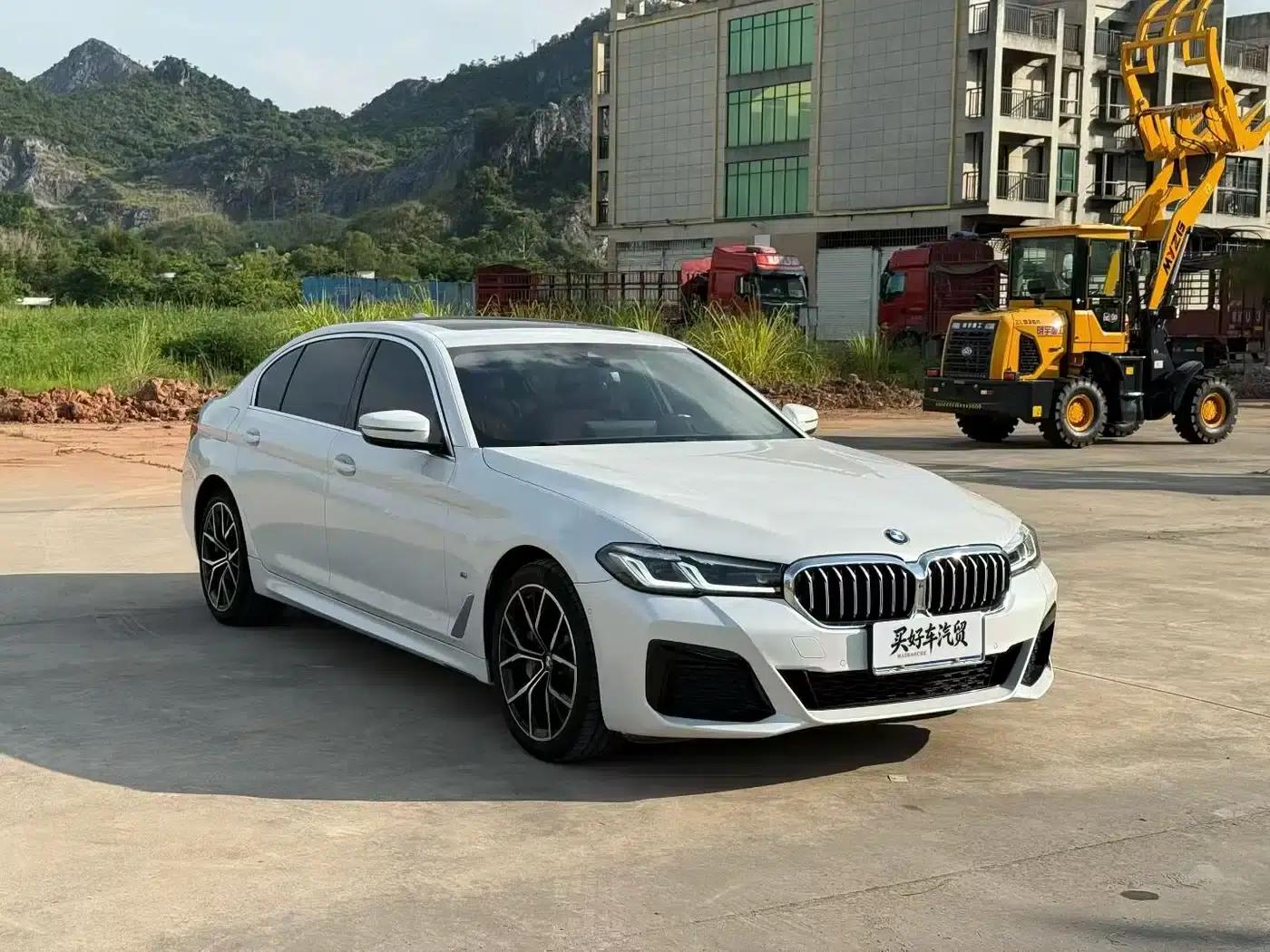 2021 BMW 5 Series 530Li Luxury M Sport Package — миниатюра 3