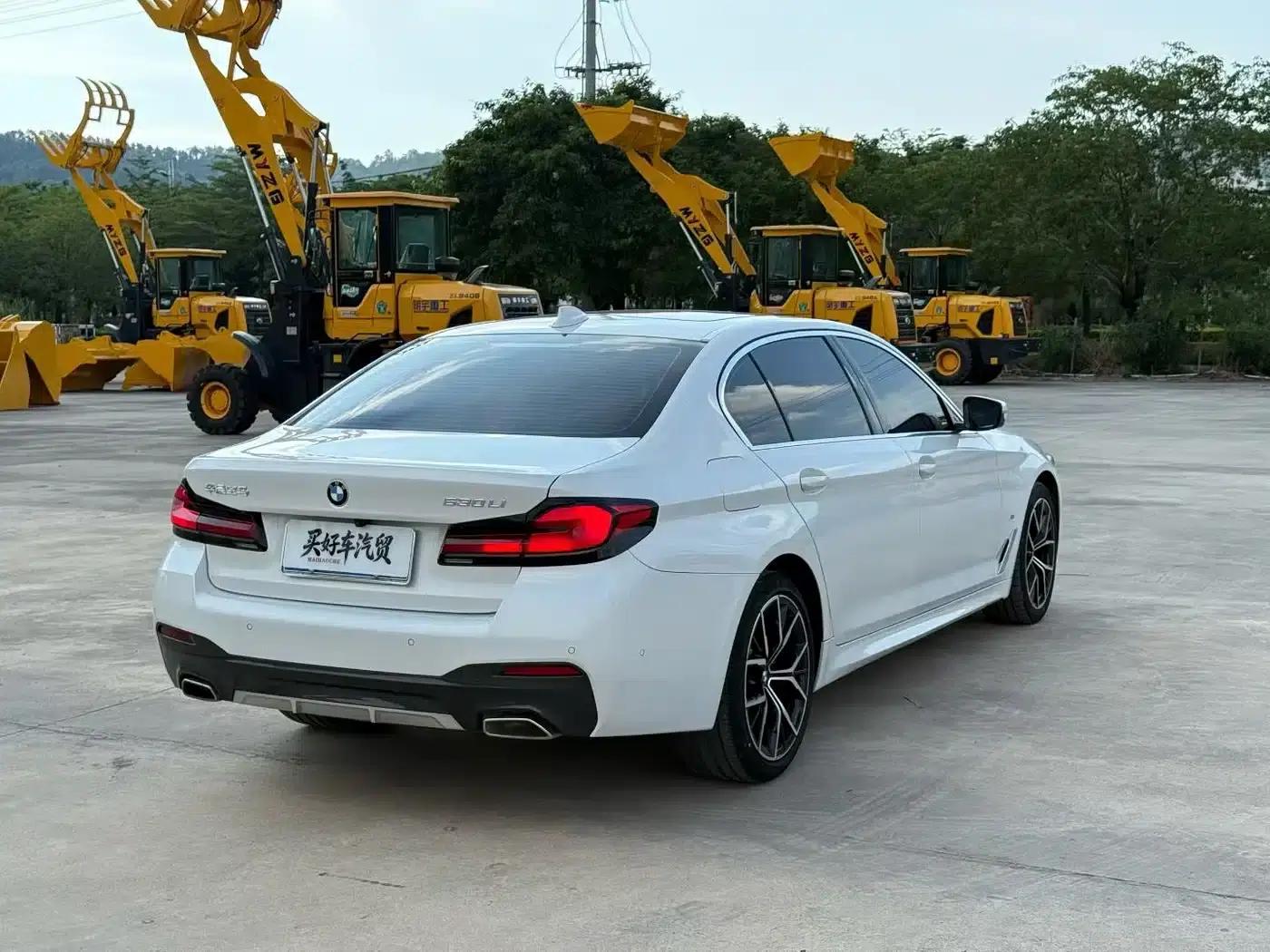 2021 BMW 5 Series 530Li Luxury M Sport Package — миниатюра 9