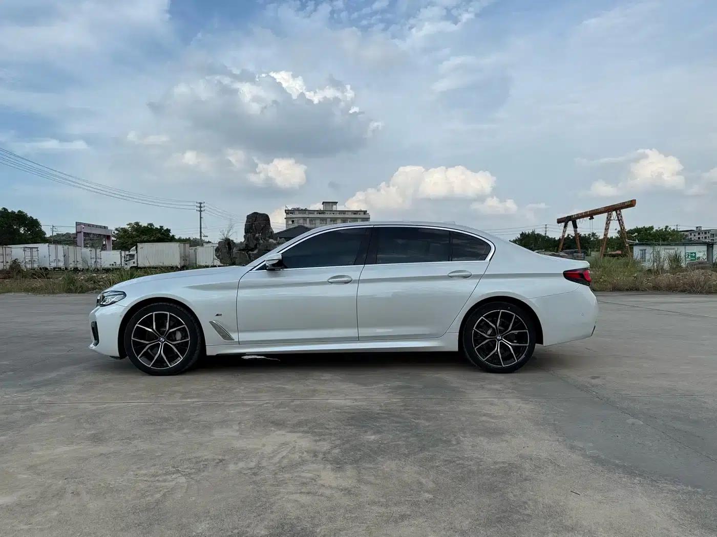 2021 BMW 5 Series 530Li Luxury M Sport Package — миниатюра 10