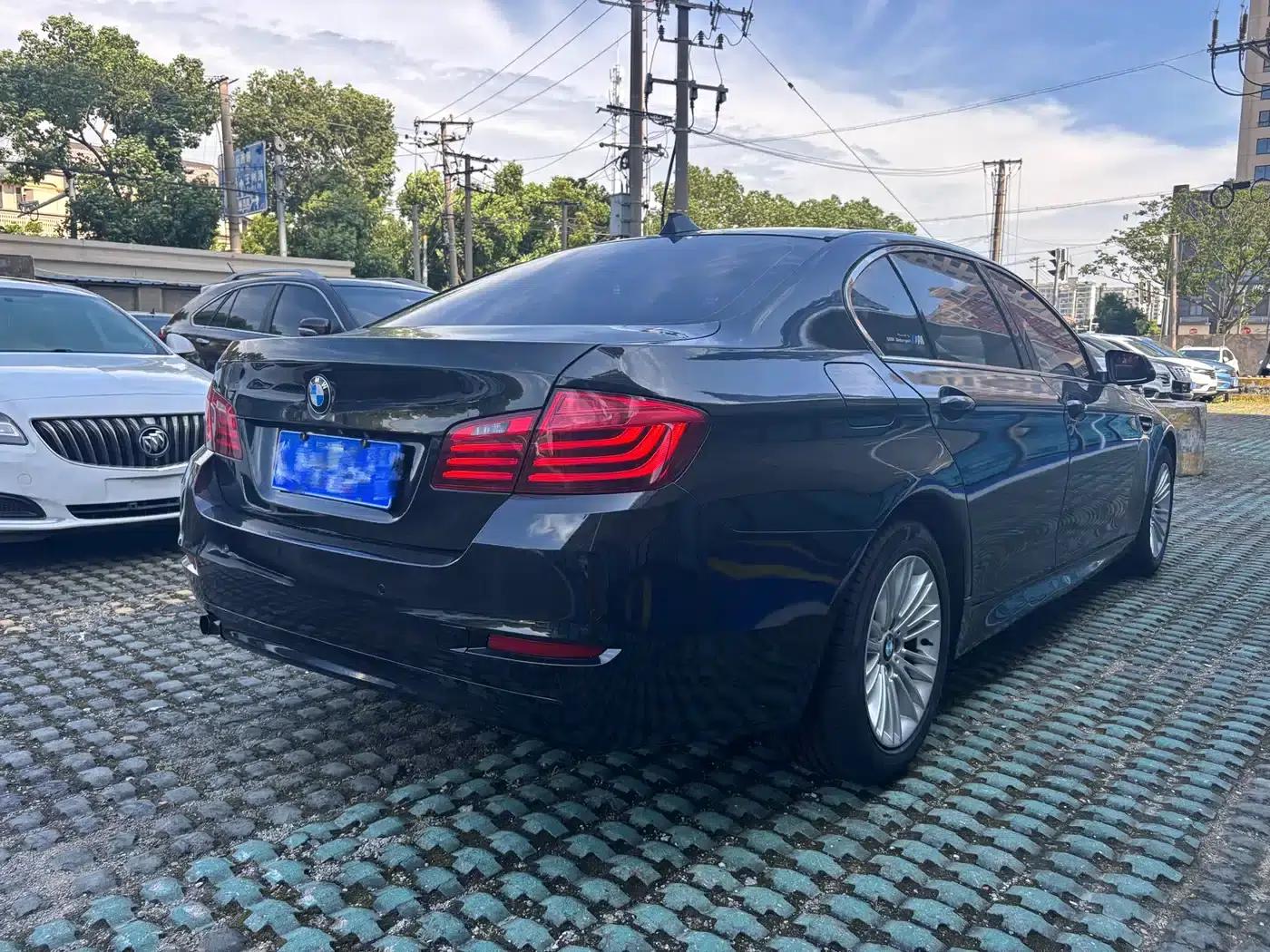 2014 BMW 5 Series 525Li Leading Edition — миниатюра 12