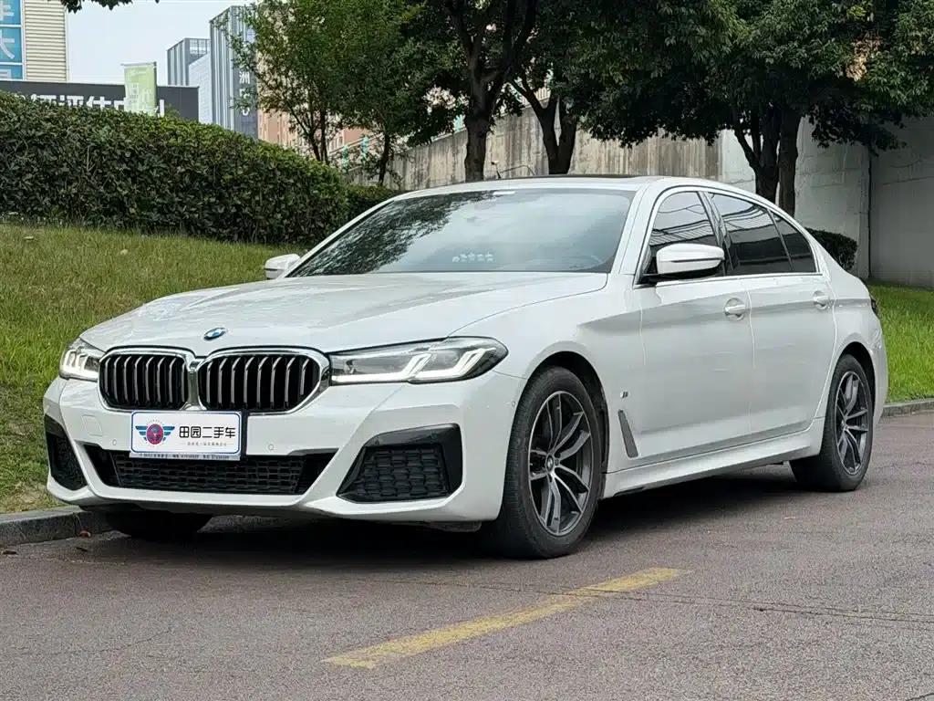 2021 BMW 5 Series Facelift 525Li Luxury Package — миниатюра 1