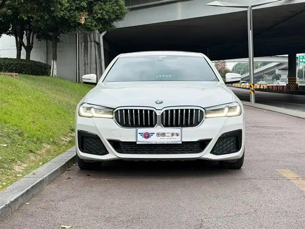 2021 BMW 5 Series Facelift 525Li Luxury Package — миниатюра 2