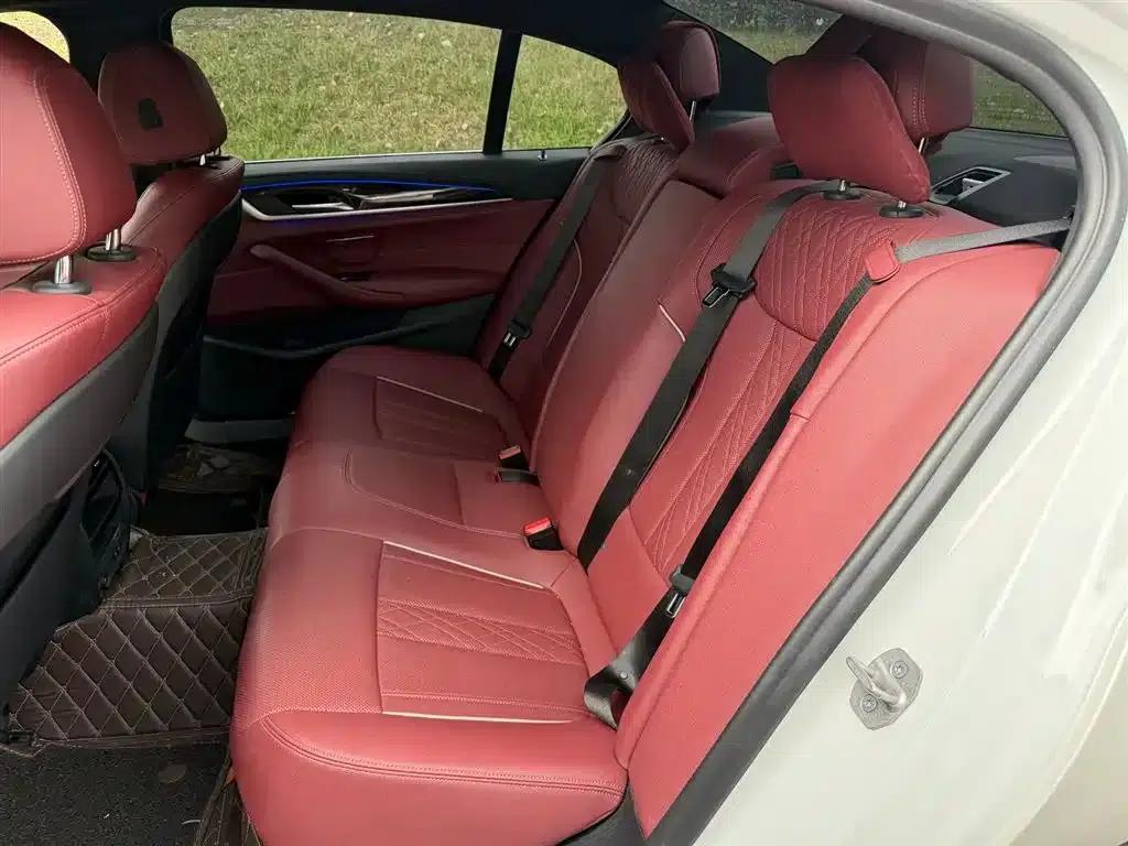 2021 BMW 5 Series Facelift 525Li Luxury Package — миниатюра 12
