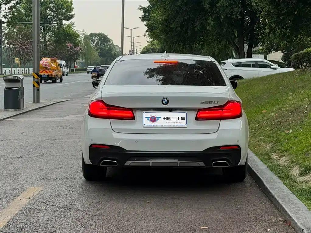 2021 BMW 5 Series Facelift 525Li Luxury Package — миниатюра 5