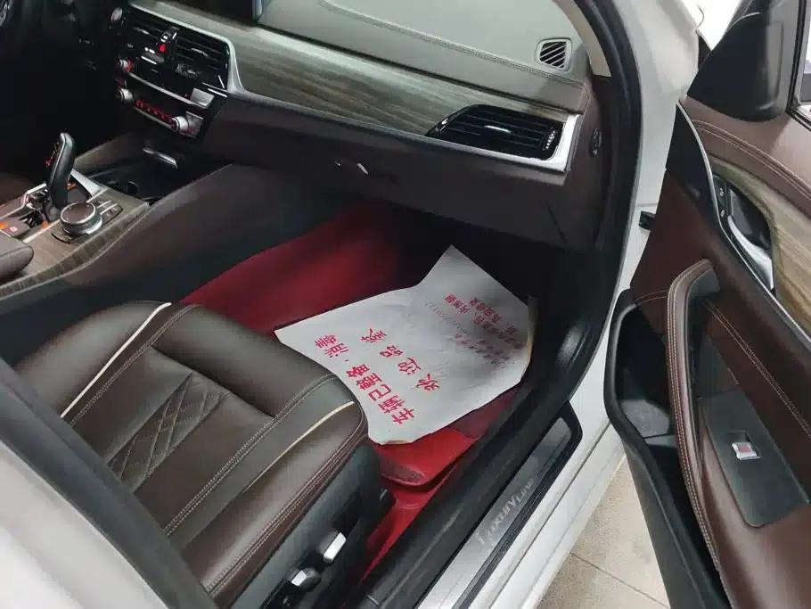 2020 BMW 5 Series 530Li Leading Edition M Sport Package — миниатюра 8