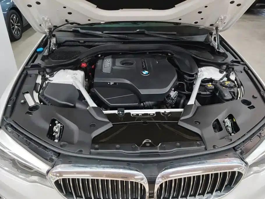 2020 BMW 5 Series 530Li Leading Edition M Sport Package — миниатюра 10