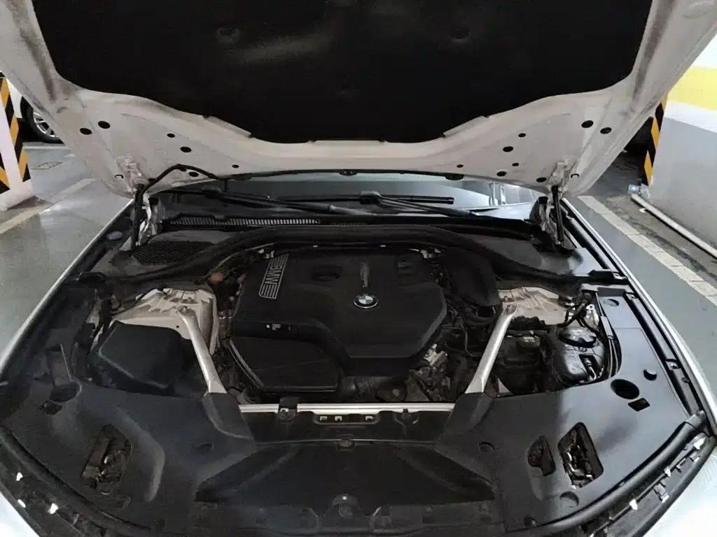 2018 BMW 5 Series 525Li Luxury Package — миниатюра 16