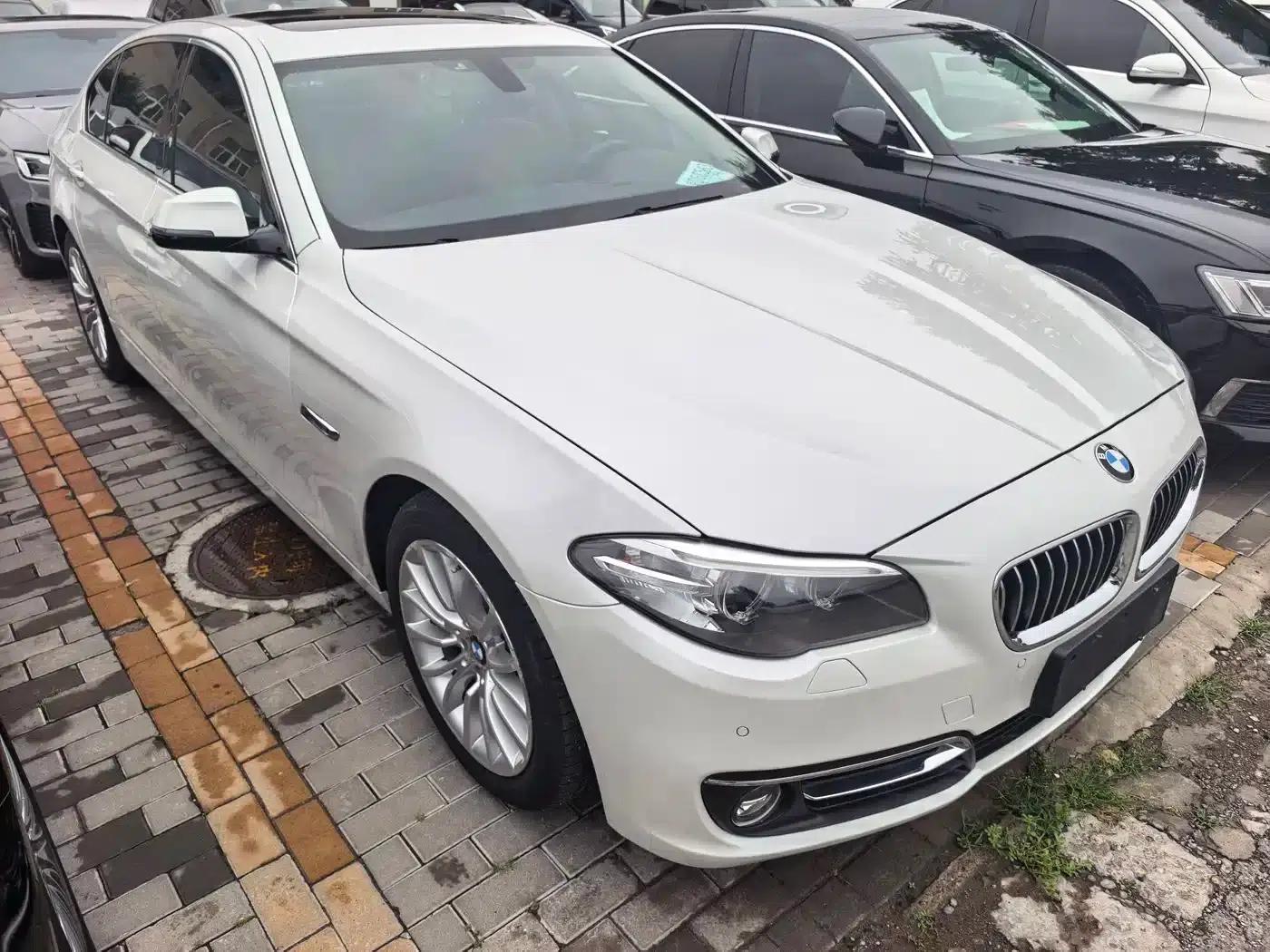 2017 BMW 5 Series 525Li Luxury Design Package — миниатюра 2