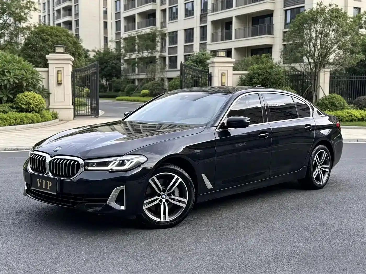 BMW 5 Series 2021 530Li Leading Luxury Package — миниатюра 1