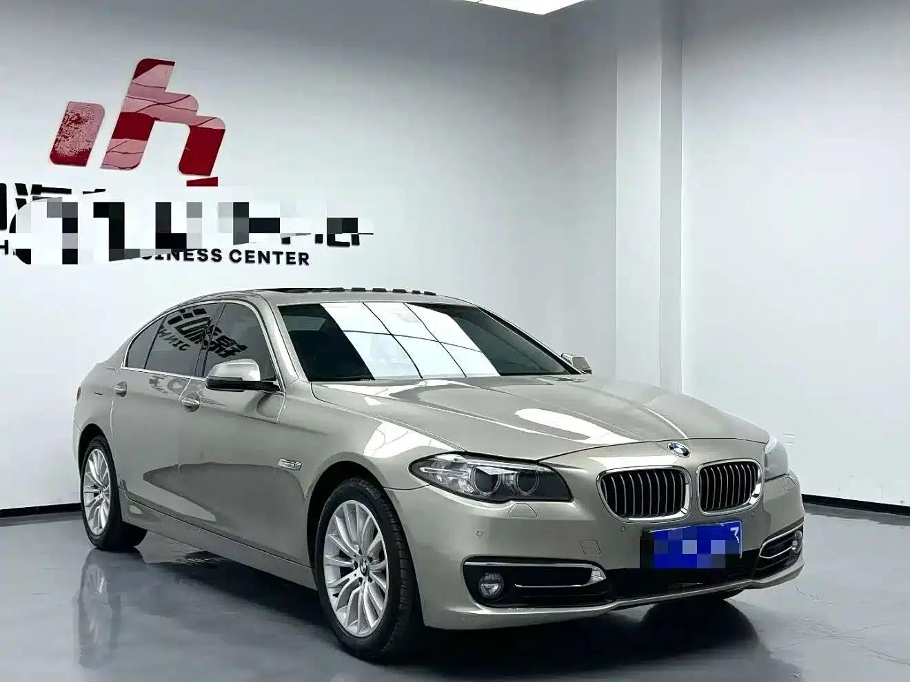 2014 BMW 5 Series 525Li Luxury Design Package — миниатюра 2