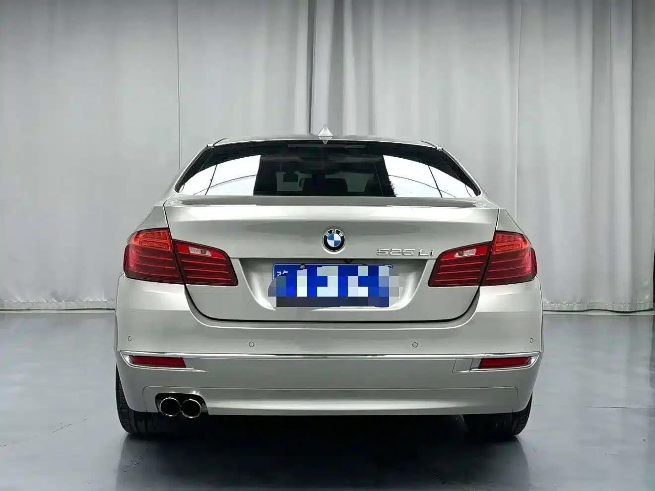 2014 BMW 5 Series 525Li Luxury Design Package — миниатюра 9