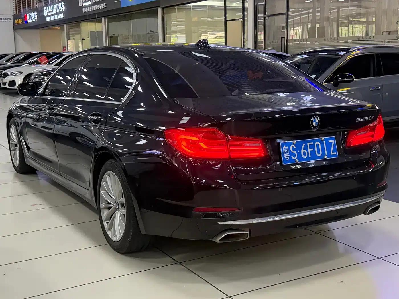 2020 BMW 5 Series 525Li Luxury Package — миниатюра 10