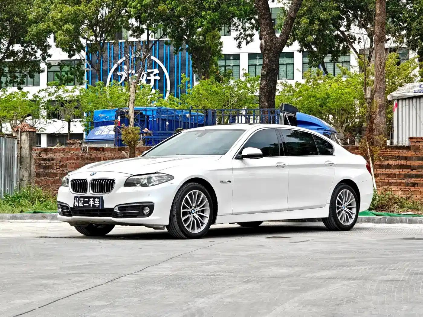 2014 BMW 5 Series 525Li Luxury Design Package — миниатюра 1