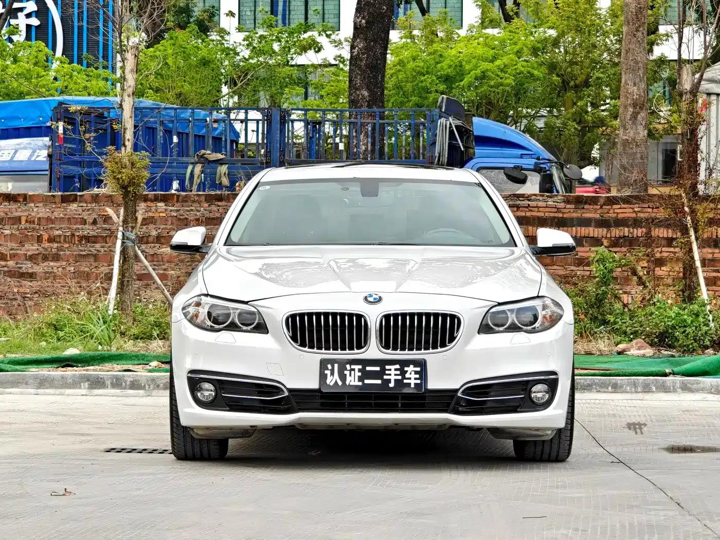2014 BMW 5 Series 525Li Luxury Design Package — миниатюра 2