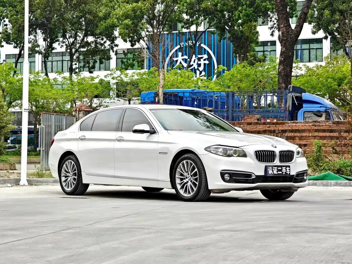 2014 BMW 5 Series 525Li Luxury Design Package — миниатюра 3