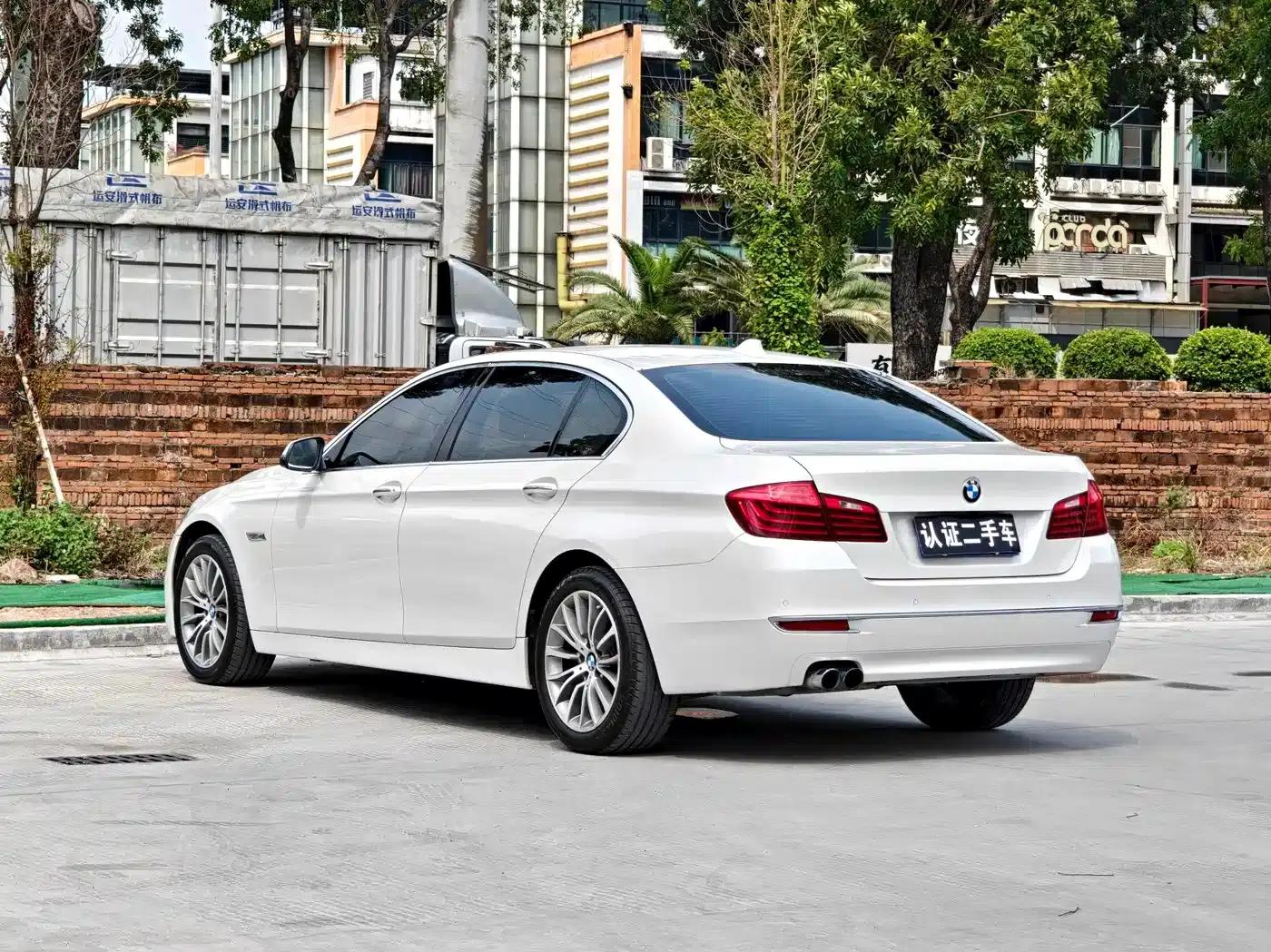 2014 BMW 5 Series 525Li Luxury Design Package — миниатюра 5