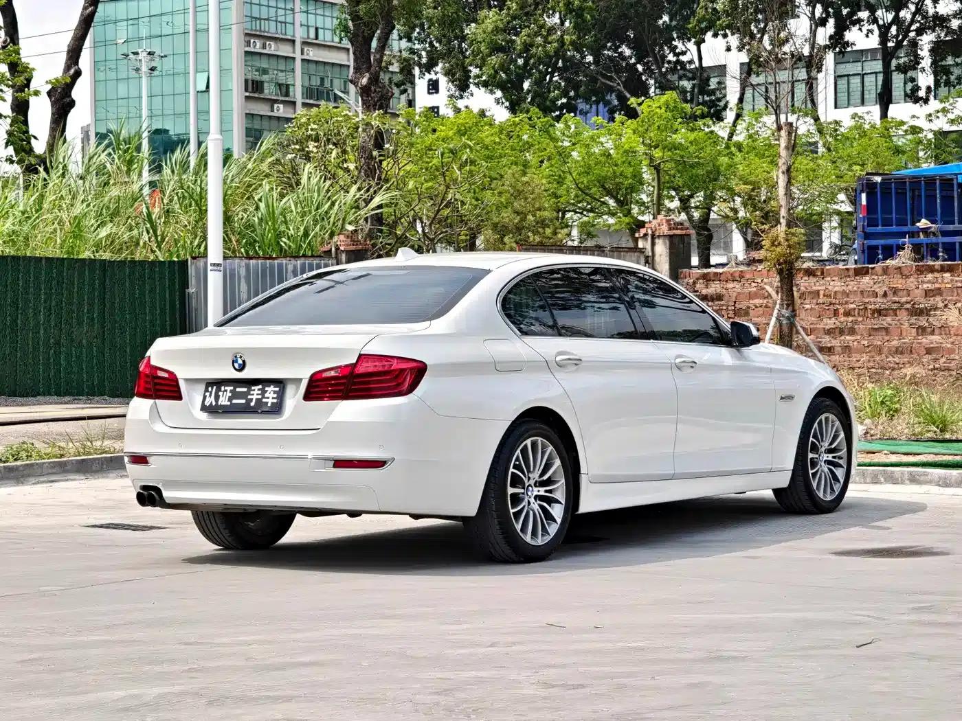 2014 BMW 5 Series 525Li Luxury Design Package — миниатюра 7