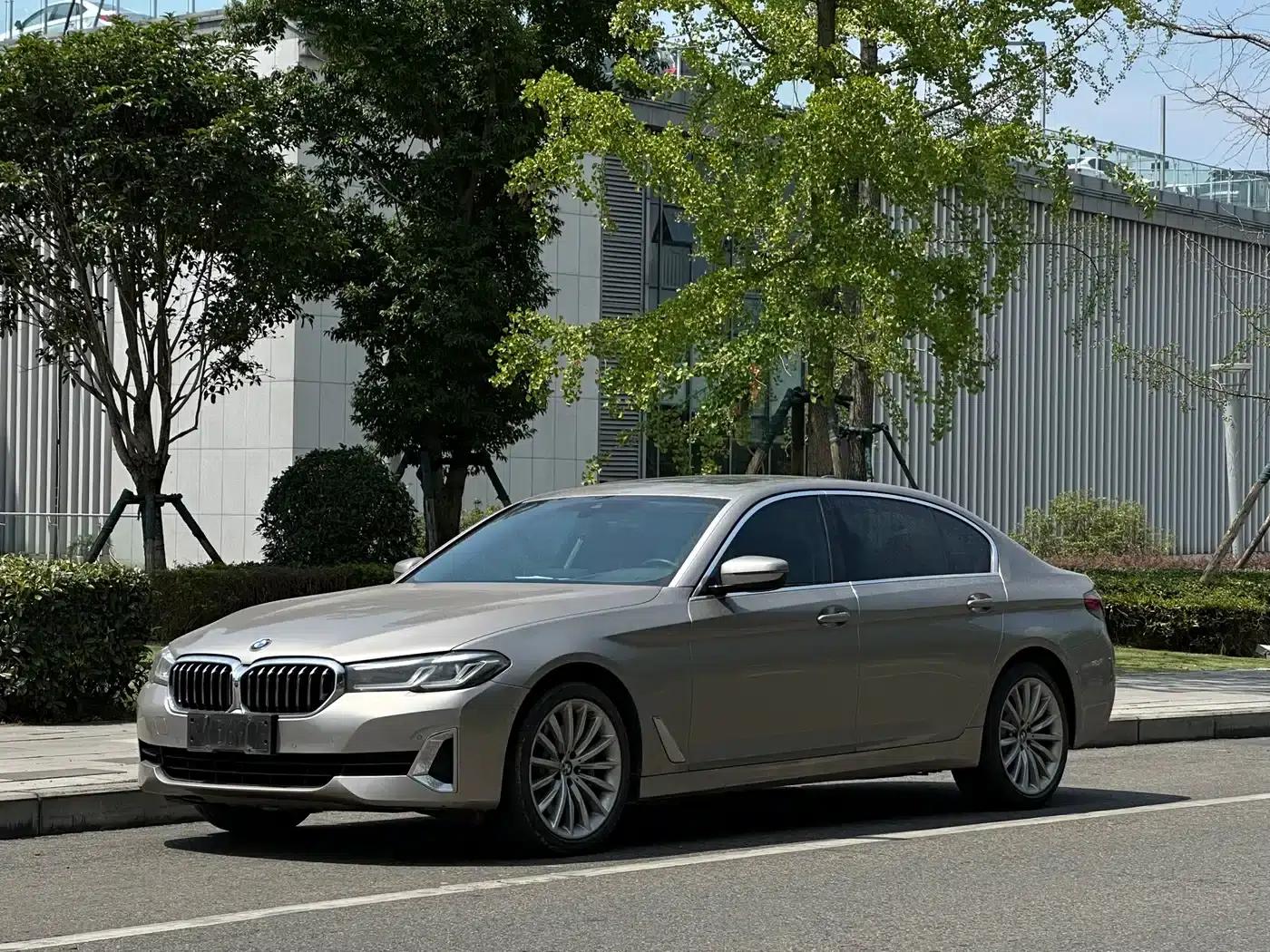 BMW 5 Series 2021 530Li Luxury Package — миниатюра 1