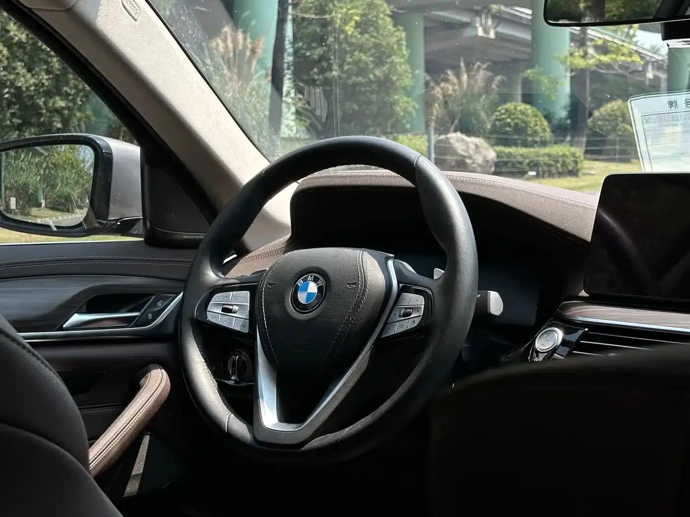 BMW 5 Series 2021 530Li Luxury Package — миниатюра 12