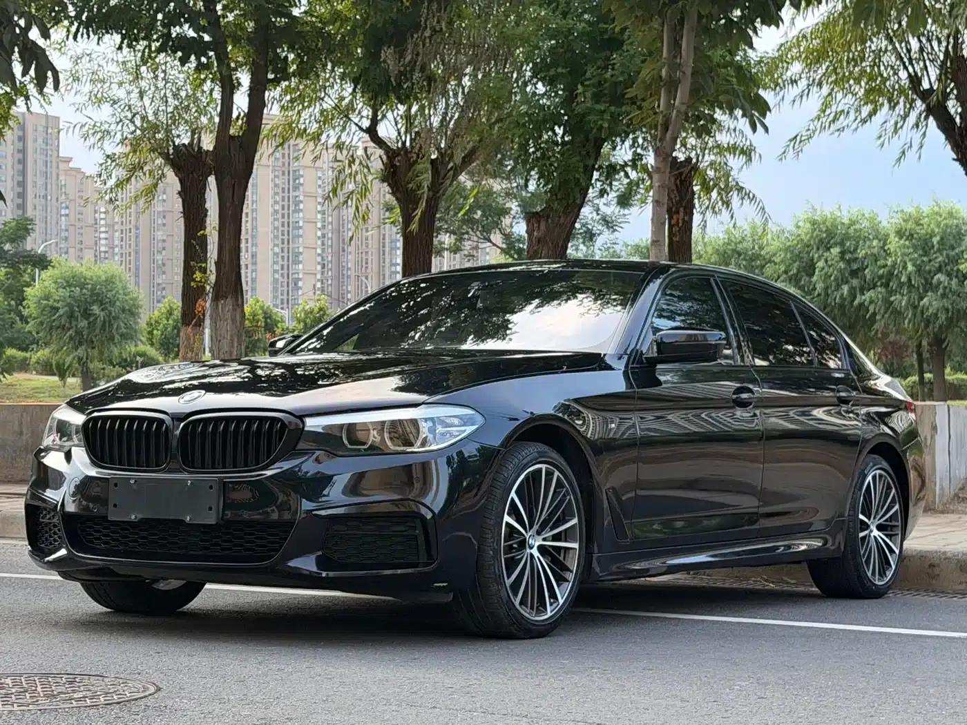 2019 BMW 5 Series Facelift 530Li xDrive M Sport Package — миниатюра 1