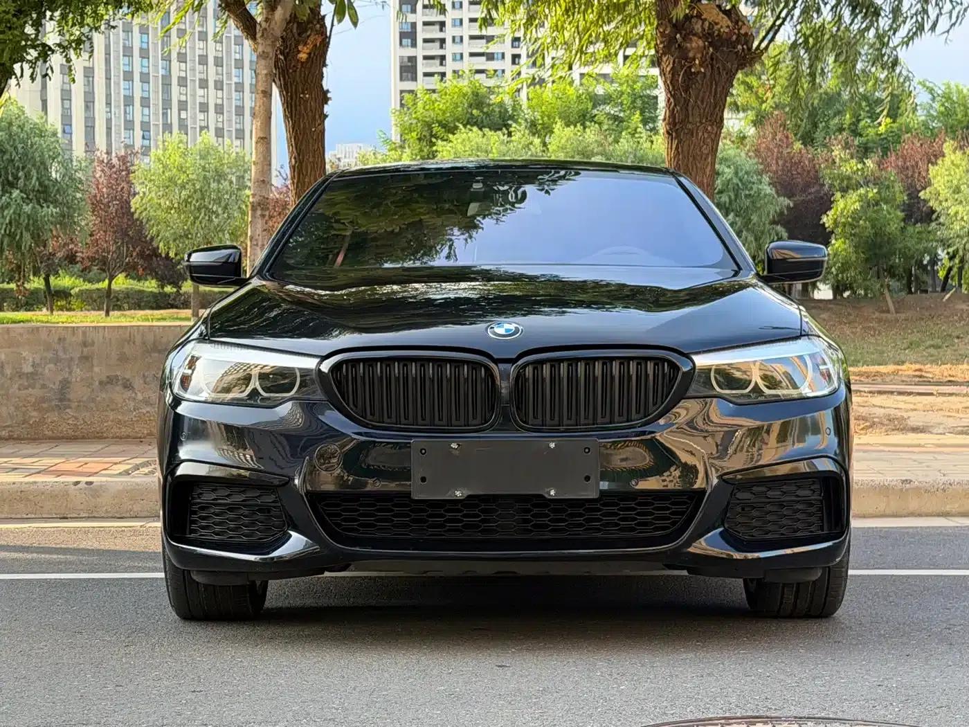 2019 BMW 5 Series Facelift 530Li xDrive M Sport Package — миниатюра 2