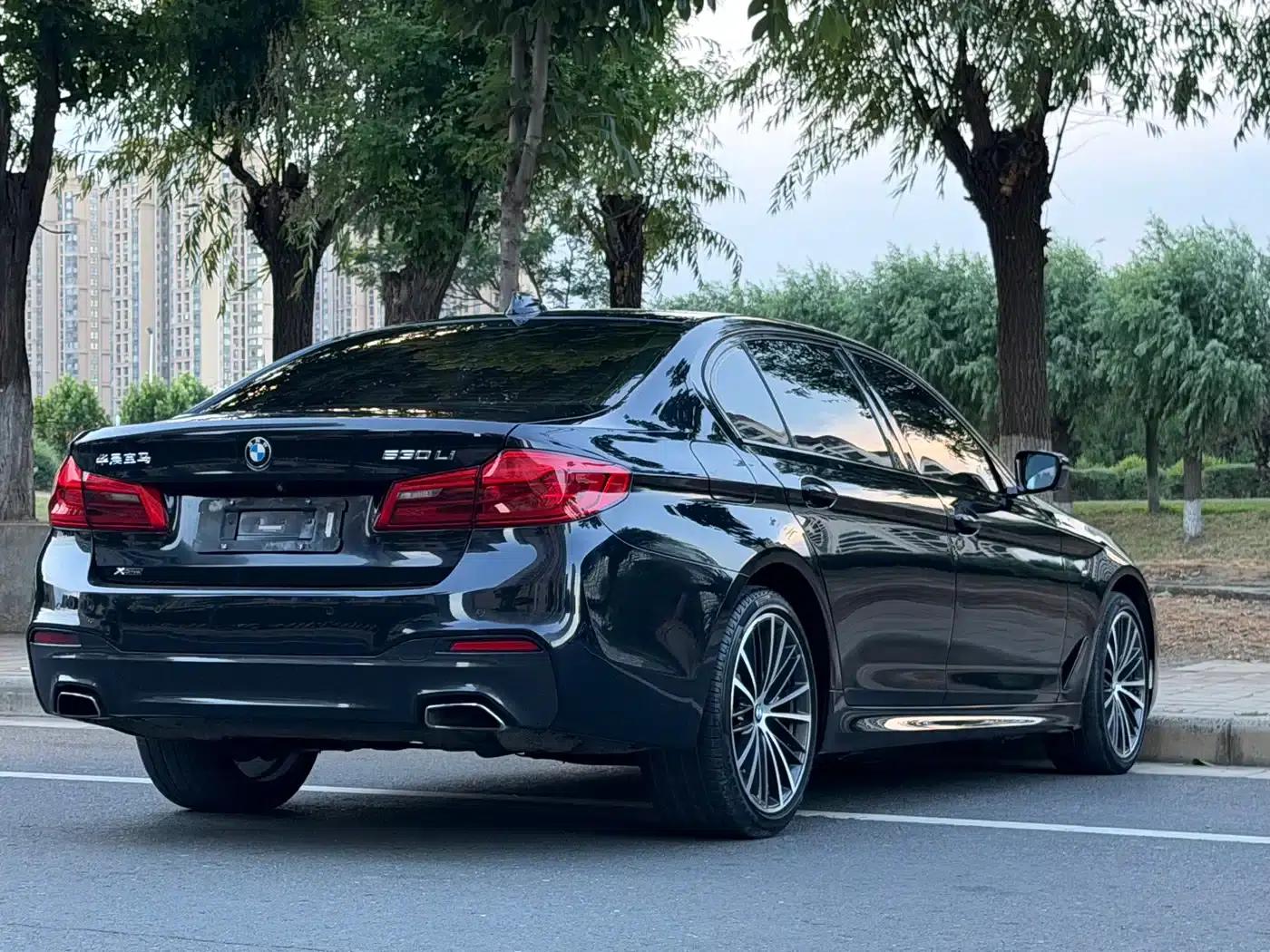 2019 BMW 5 Series Facelift 530Li xDrive M Sport Package — миниатюра 9