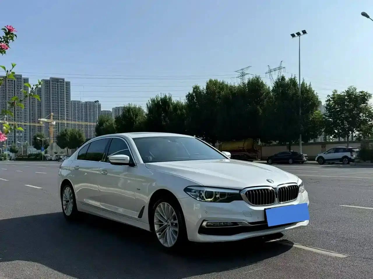 2018 BMW 5 Series 525Li Luxury Package — миниатюра 3