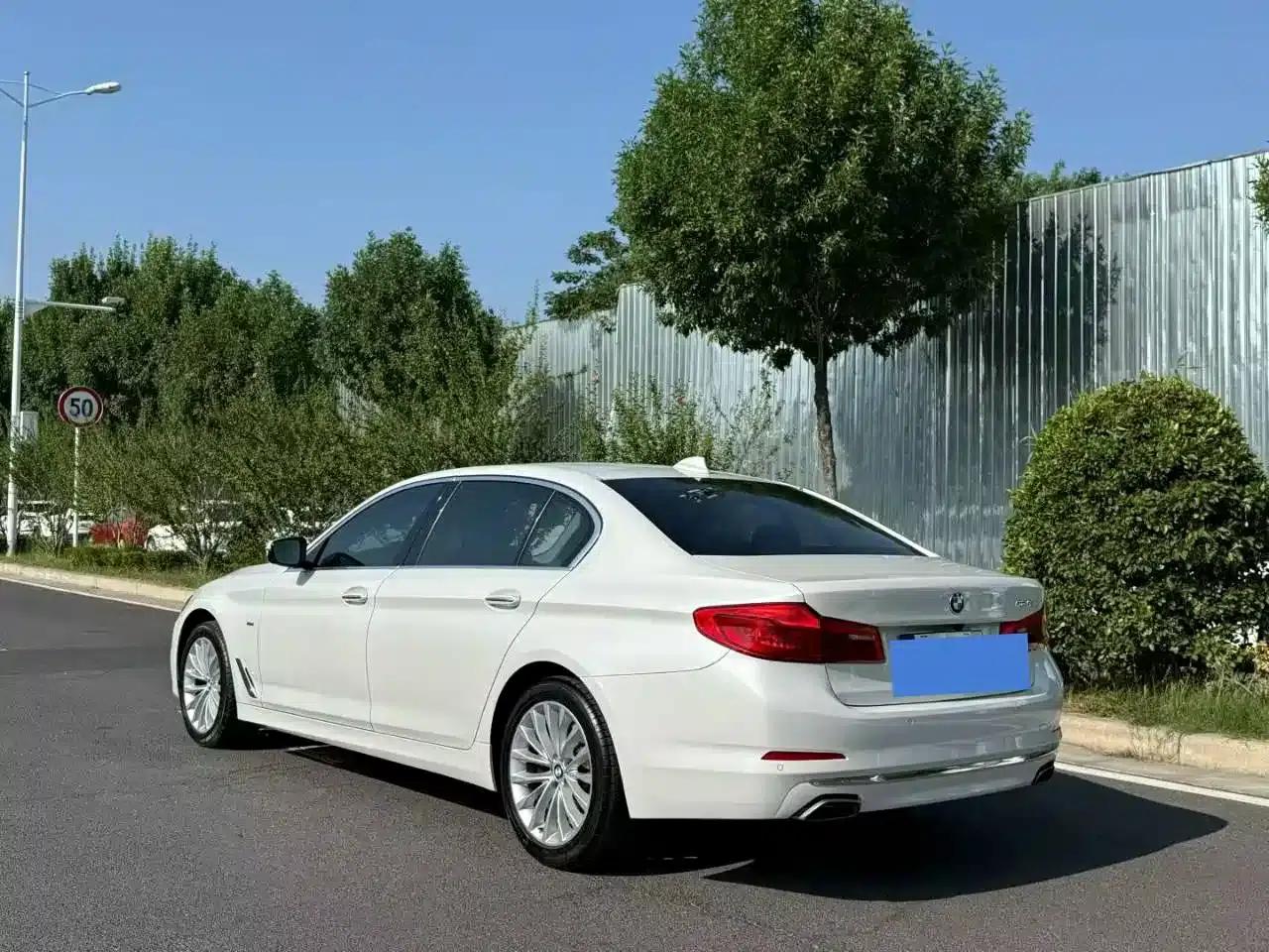 2018 BMW 5 Series 525Li Luxury Package — миниатюра 9