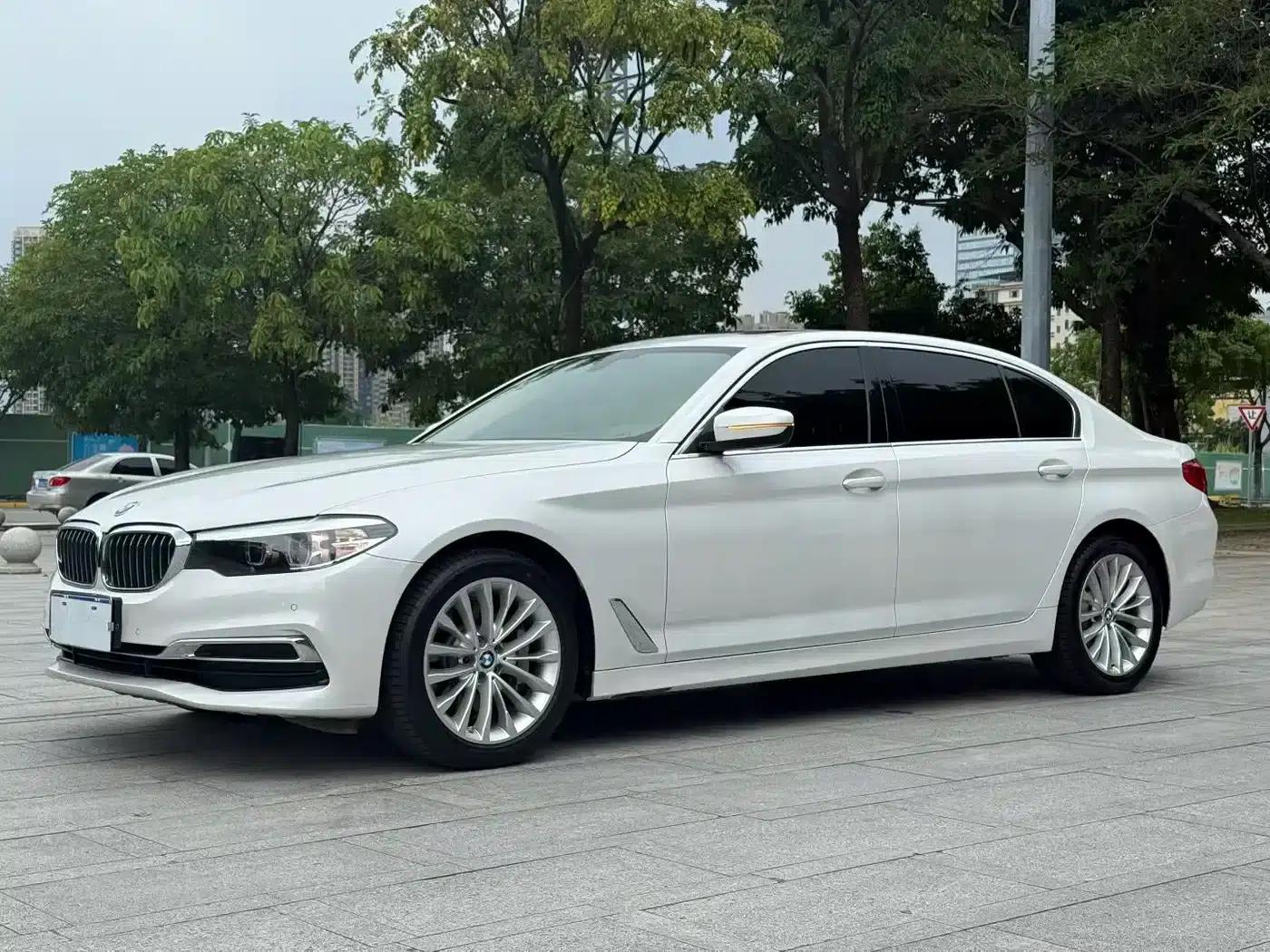 BMW 5 Series 2019 530Li Leading Luxury Package — миниатюра 1