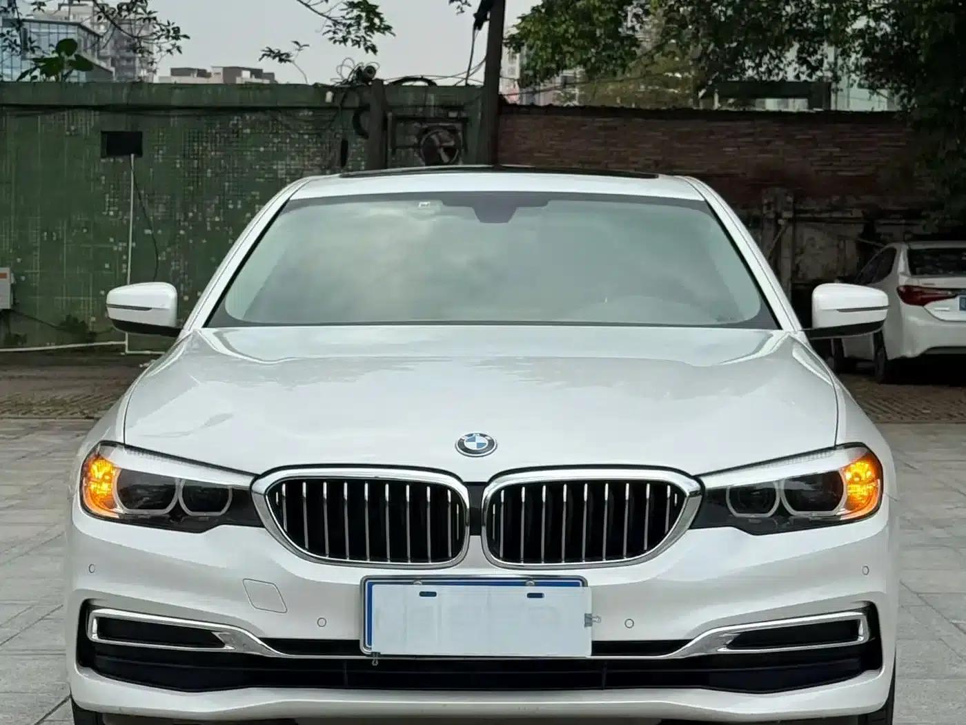 BMW 5 Series 2019 530Li Leading Luxury Package — миниатюра 2