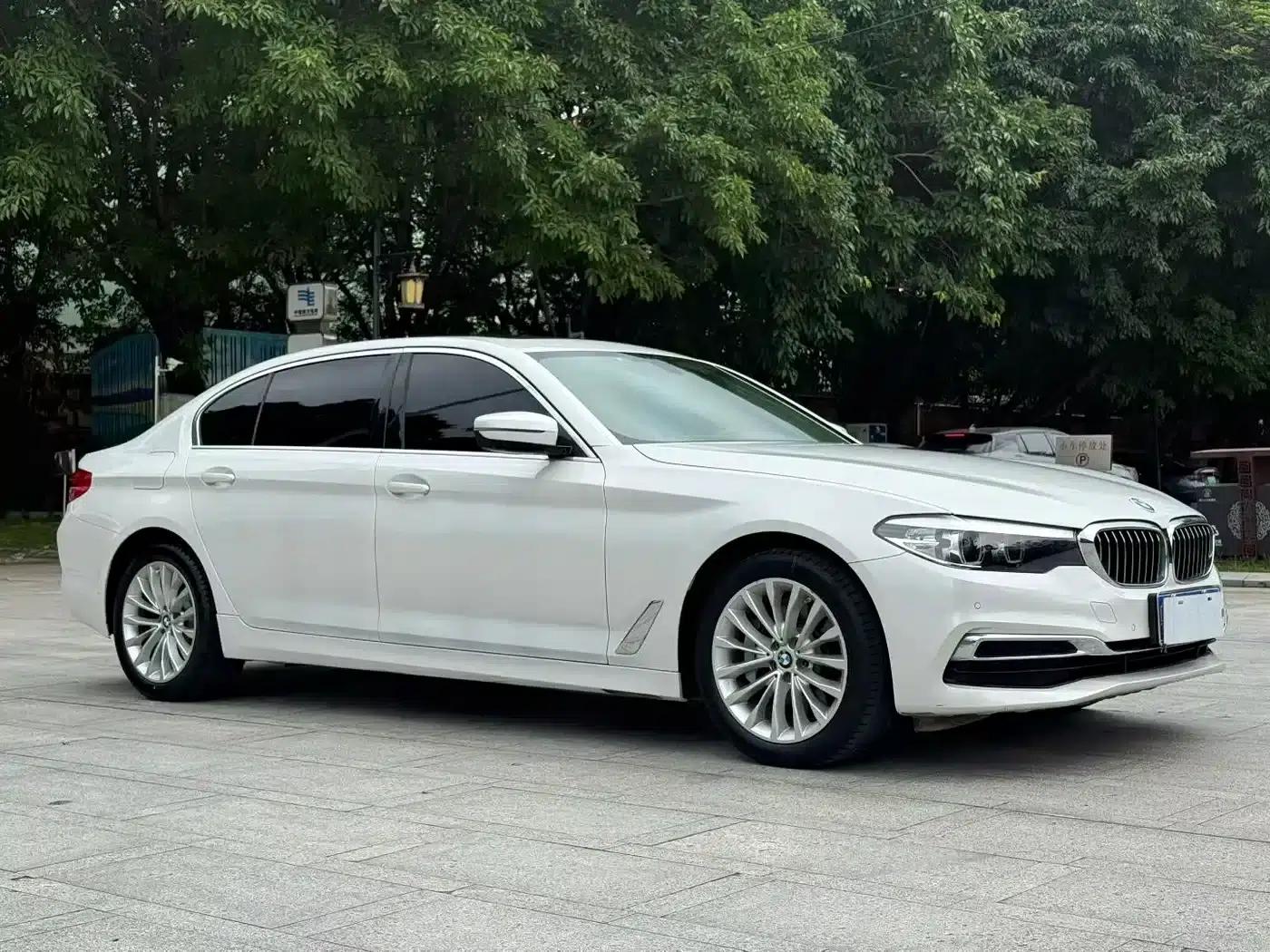 BMW 5 Series 2019 530Li Leading Luxury Package — миниатюра 3