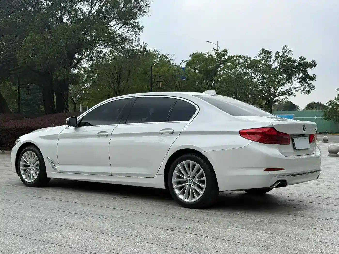 BMW 5 Series 2019 530Li Leading Luxury Package — миниатюра 6