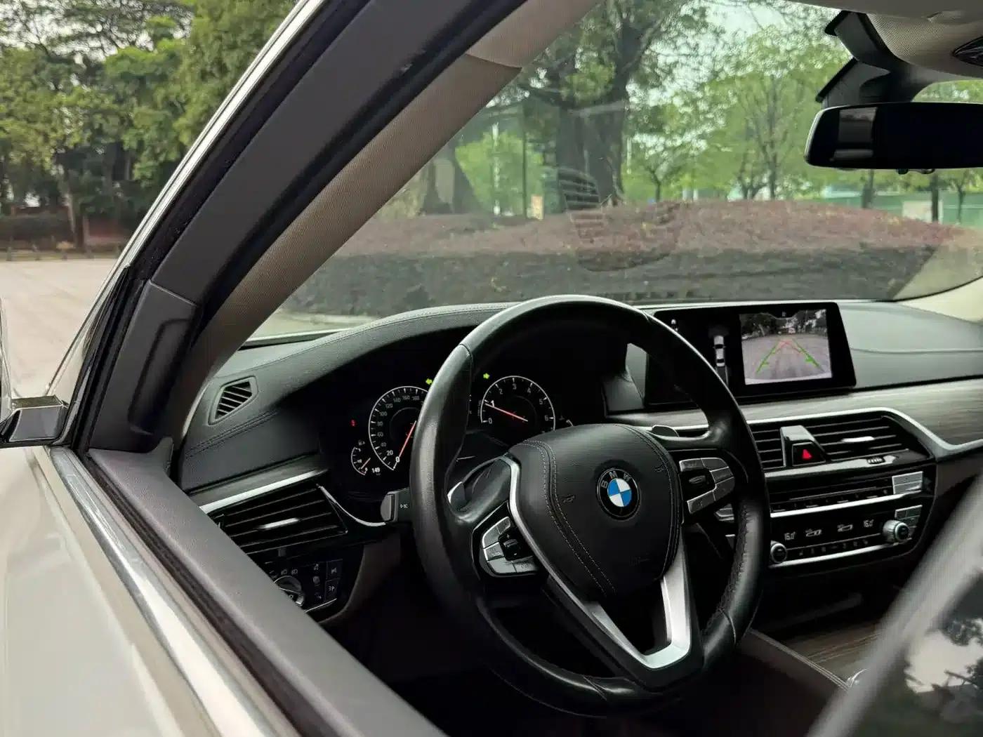 BMW 5 Series 2019 530Li Leading Luxury Package — миниатюра 9