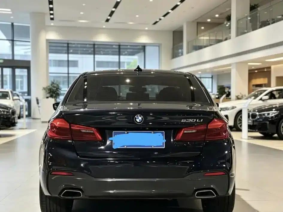 2019 BMW 5 Series 530Li Luxury M Sport Package — миниатюра 5