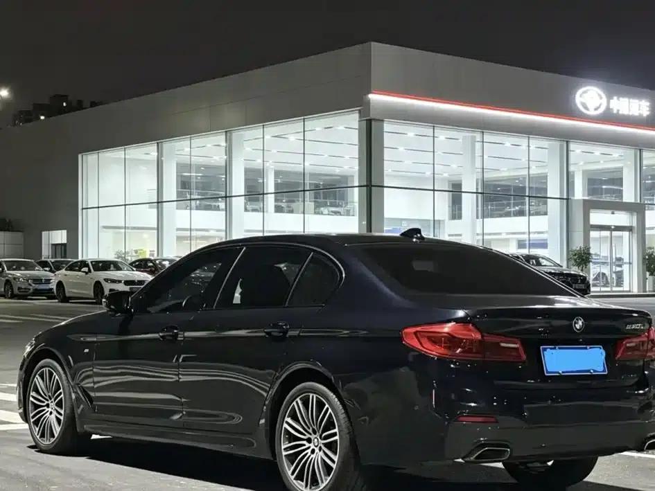 2019 BMW 5 Series 530Li Luxury M Sport Package — миниатюра 6