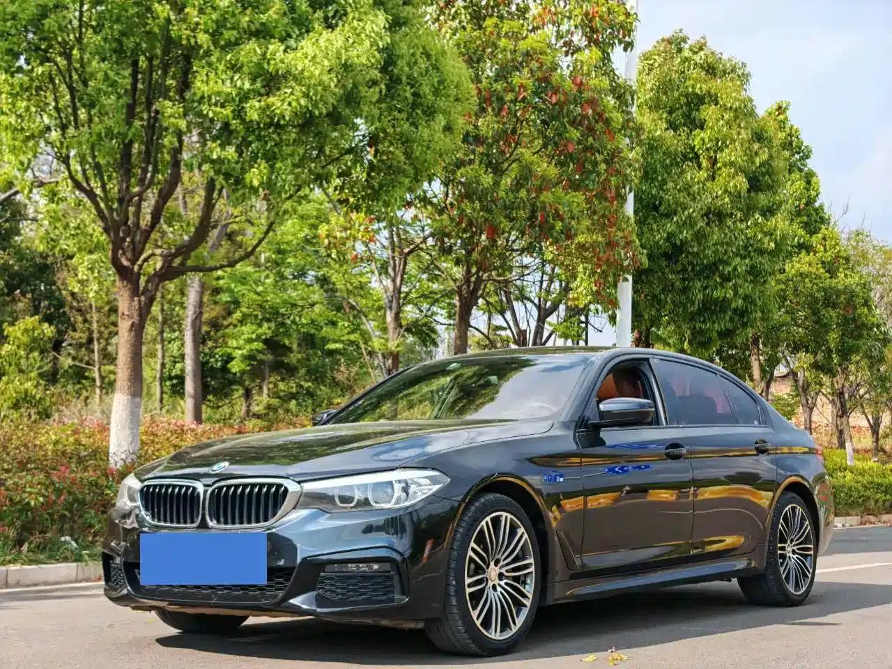 2019 BMW 5 Series 530Li Leading Edition M Sport Package — миниатюра 1