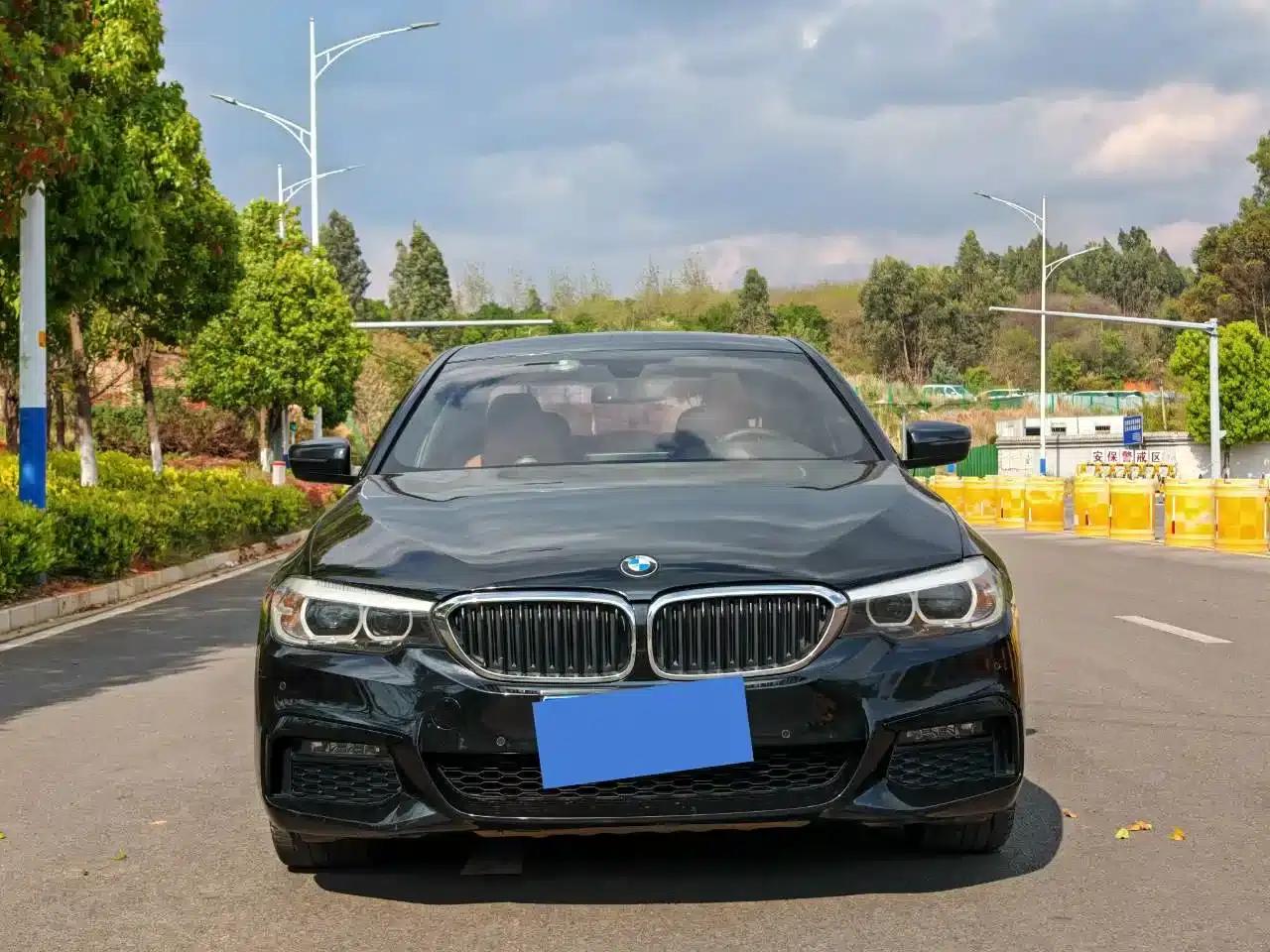 2019 BMW 5 Series 530Li Leading Edition M Sport Package — миниатюра 2