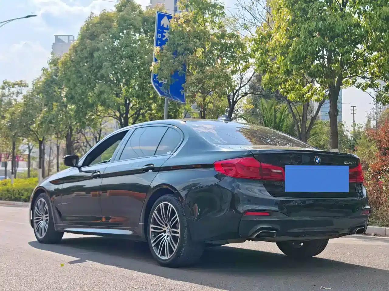 2019 BMW 5 Series 530Li Leading Edition M Sport Package — миниатюра 7