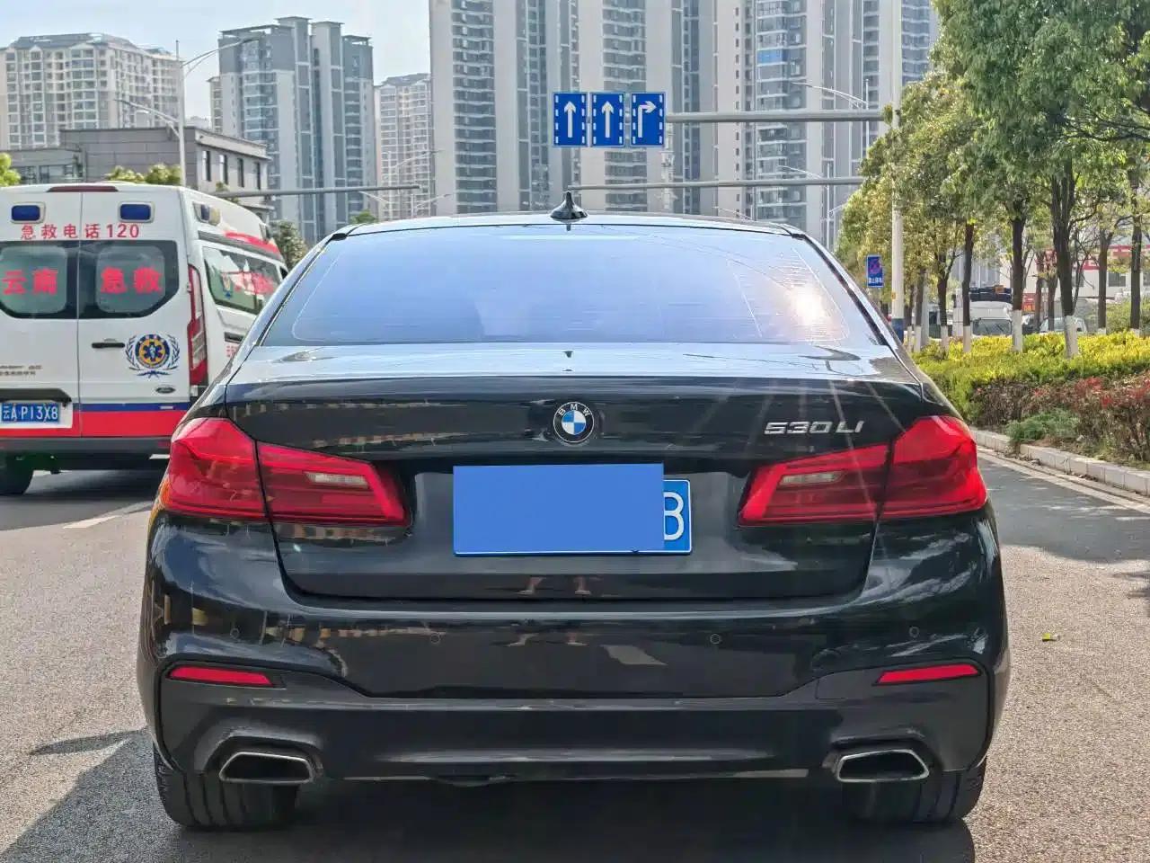 2019 BMW 5 Series 530Li Leading Edition M Sport Package — миниатюра 8