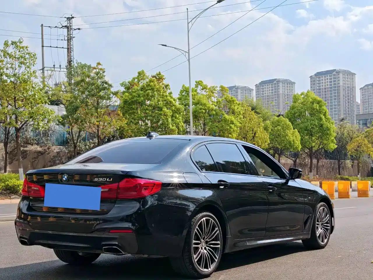 2019 BMW 5 Series 530Li Leading Edition M Sport Package — миниатюра 9