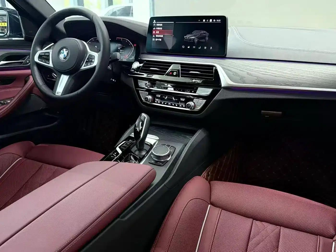 2021 BMW 5 Series 530Li Luxury M Sport Package — миниатюра 9