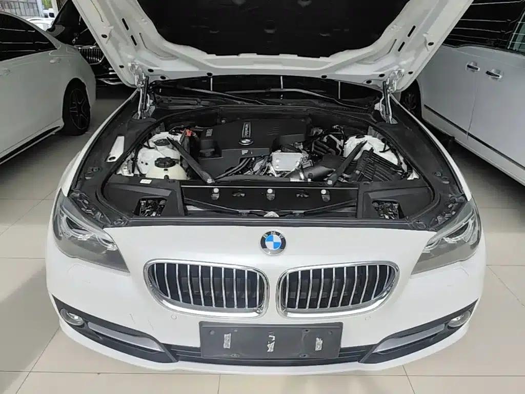 2014 BMW 5 Series 525Li Leading Edition — миниатюра 20