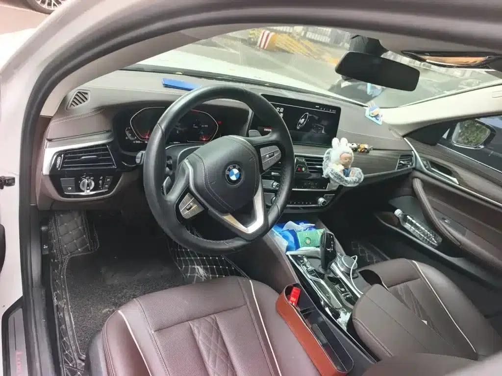 BMW 5 Series 2021 530Li Leading Luxury Package — миниатюра 13