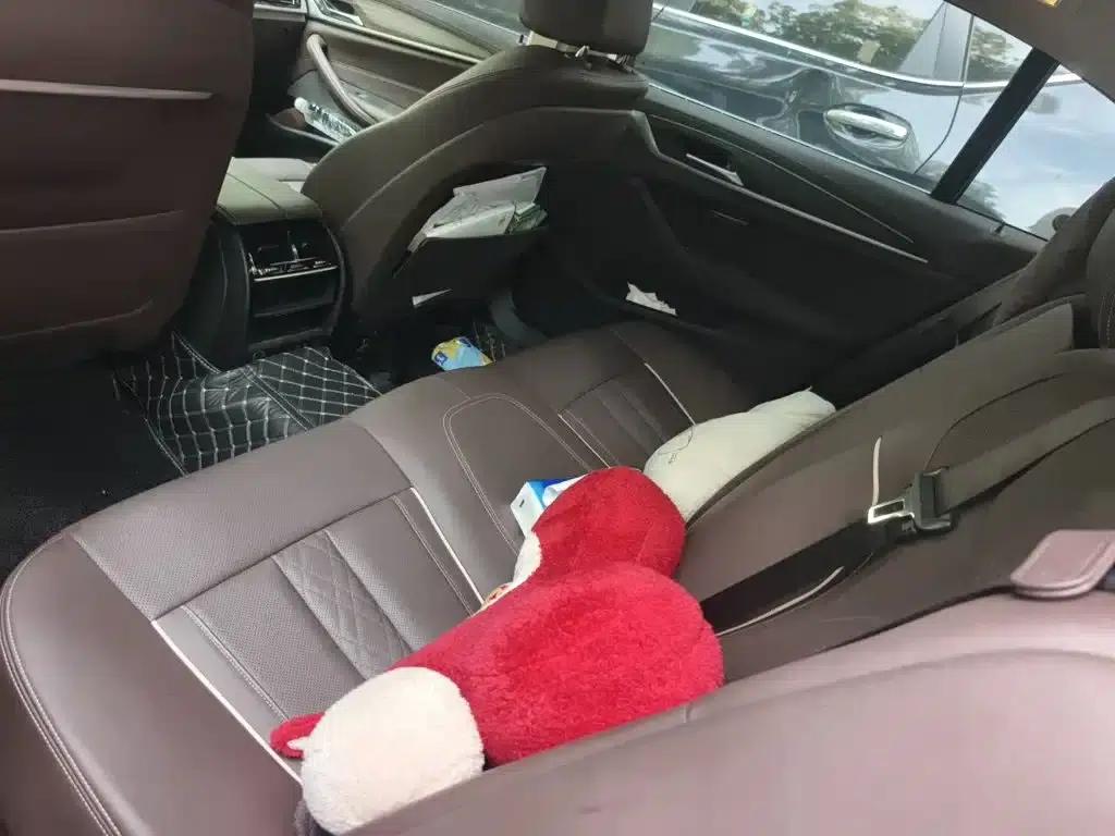 BMW 5 Series 2021 530Li Leading Luxury Package — миниатюра 15