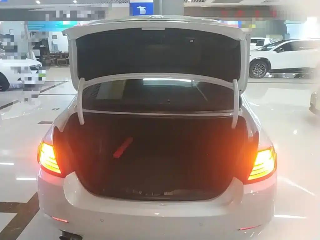 BMW 5 Series 2017 525Li Leading Edition — миниатюра 19