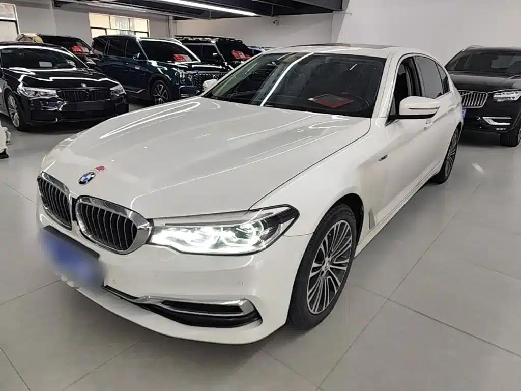 BMW 5 Series 2019 530Li Luxury Package — миниатюра 1